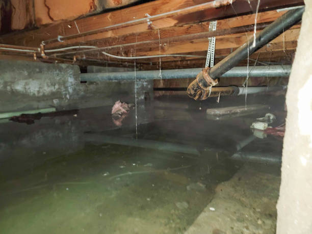 Best Ceiling water damage repair  in Sterling, CO
