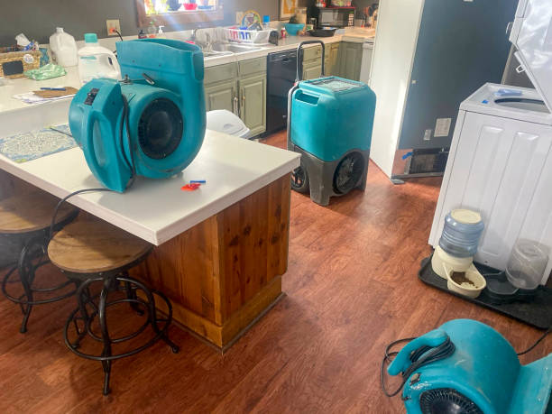 Best Mold removal after water damage  in Sterling, CO