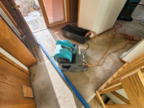 , CO Water damage restoration Company