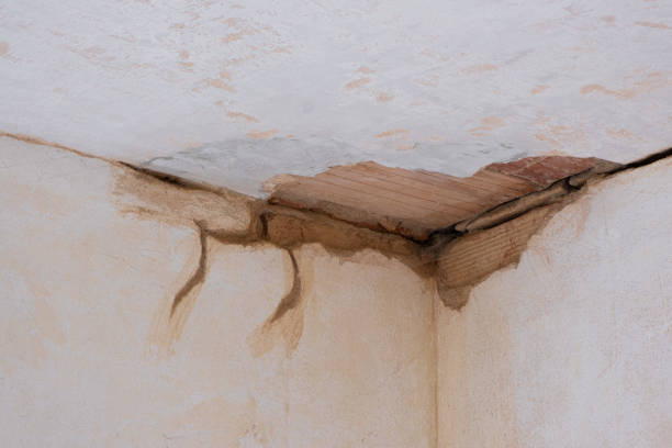  Sterling, CO Water damage restoration Pros
