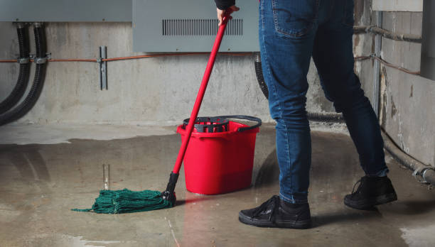 Best Water damage cleanup near me  in Sterling, CO
