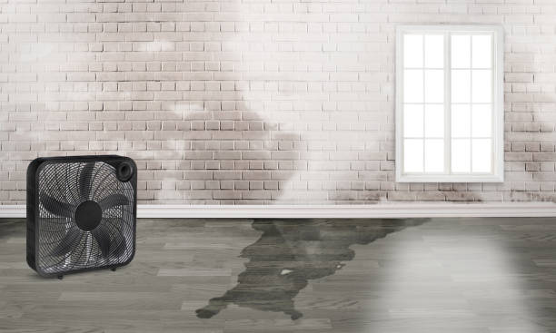 Best Commercial water damage restoration  in Sterling, CO