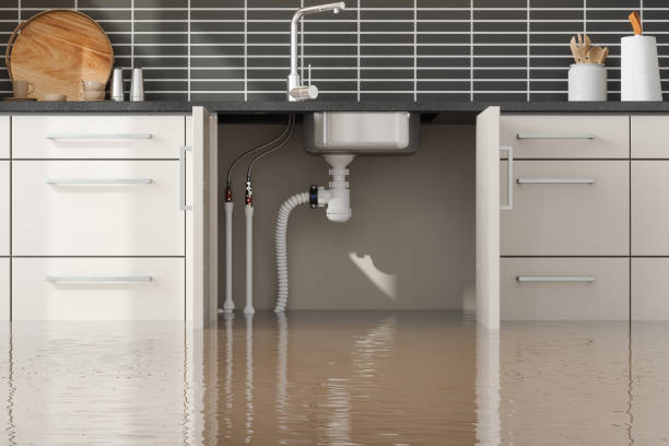 Best 24/7 water damage repair  in Sterling, CO