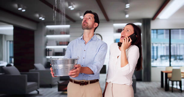 Best Water damage restoration near me  in Sterling, CO