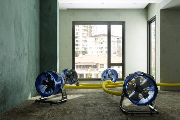 Best Water damage restoration near me  in Sterling, CO
